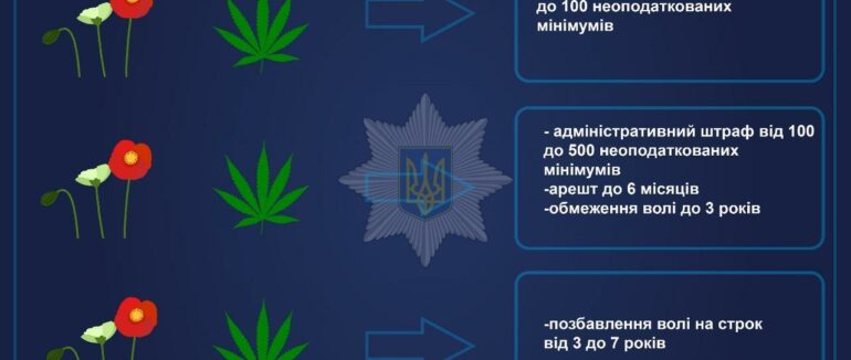 Операція “Мак” на Закарпатті: протягом тижня вилучили понад 2 тисячі нарковмісних рослин