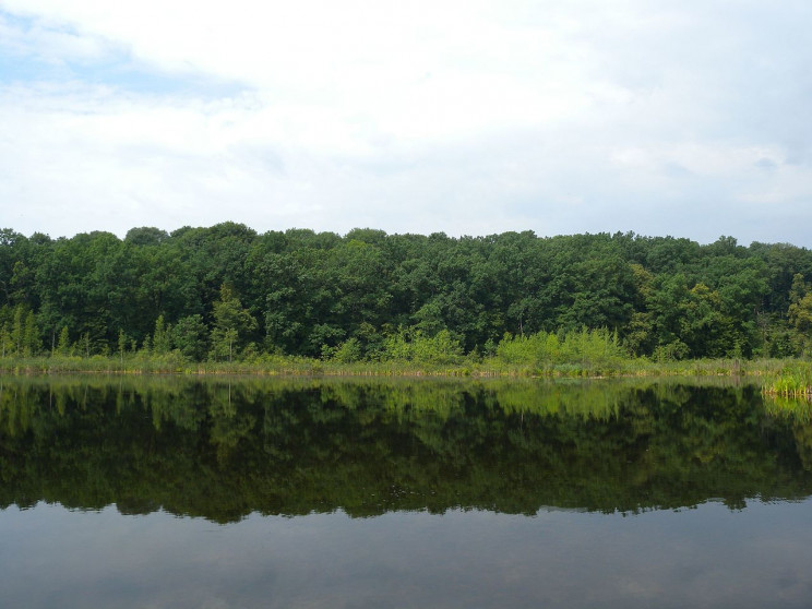 На Закарпатті з початку року на воді загинули 24 людини