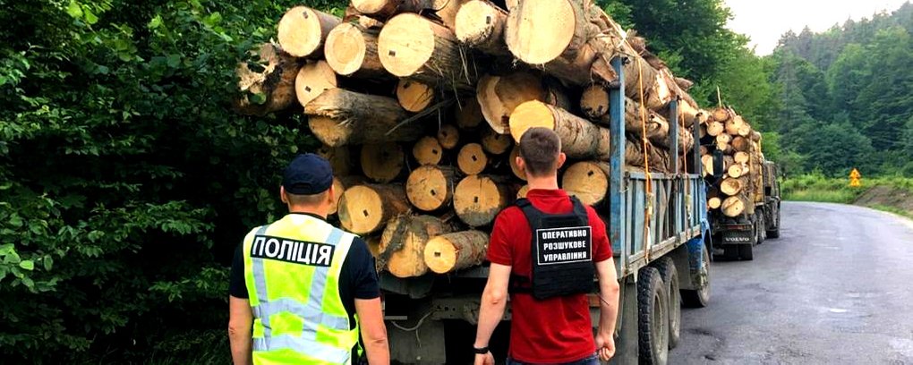 На Рахівщині затримали дві вантажівки з деревиною без документів