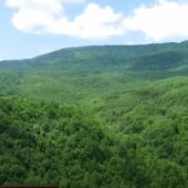 Лазіння по скелі і оглядове кільце: цікава туристична атракція на Ужгородщині (ФОТО, ВІДЕО)