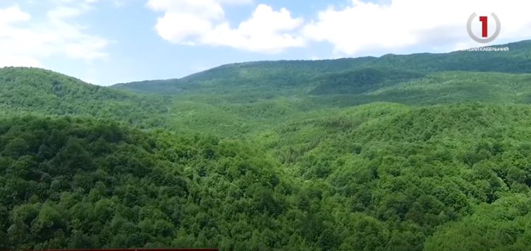 Лазіння по скелі і оглядове кільце: цікава туристична атракція на Ужгородщині (ФОТО, ВІДЕО)