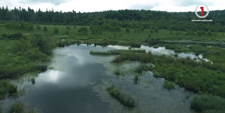 Відновлення Закарпатських торфовищ - «Чорним багном» зацікавились міжнародні природоохоронці (ВІДЕО)