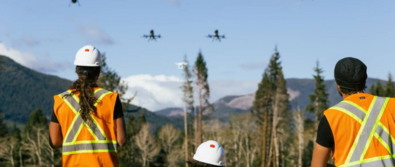 Дрони здатні висадити 1 мільярд дерев за короткий термін