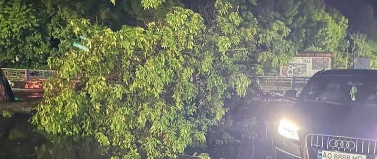 Нічна буря на Закарпатті наробила чимало лиха