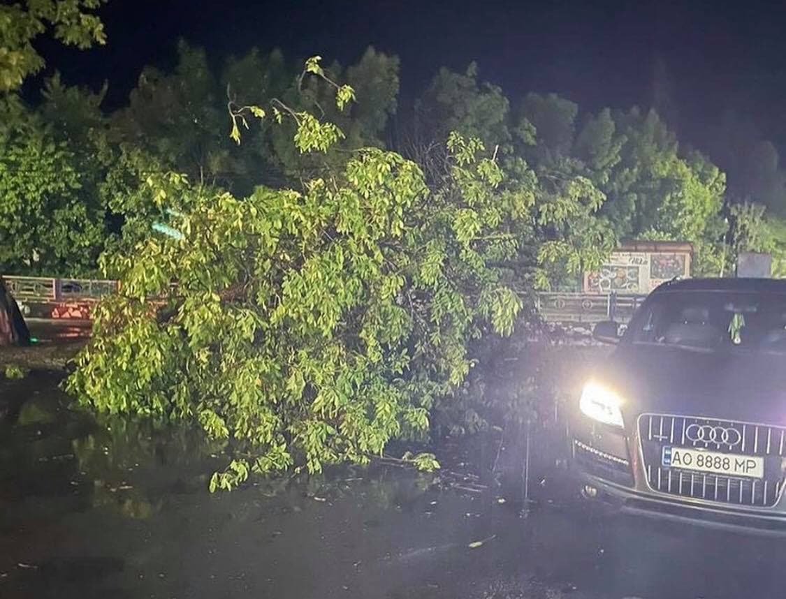 Нічна буря на Закарпатті наробила чимало лиха