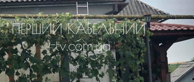 Зіпсовані гектари врожаю і зірвані дахи: наслідки вчорашнього буревію на Берегівщині