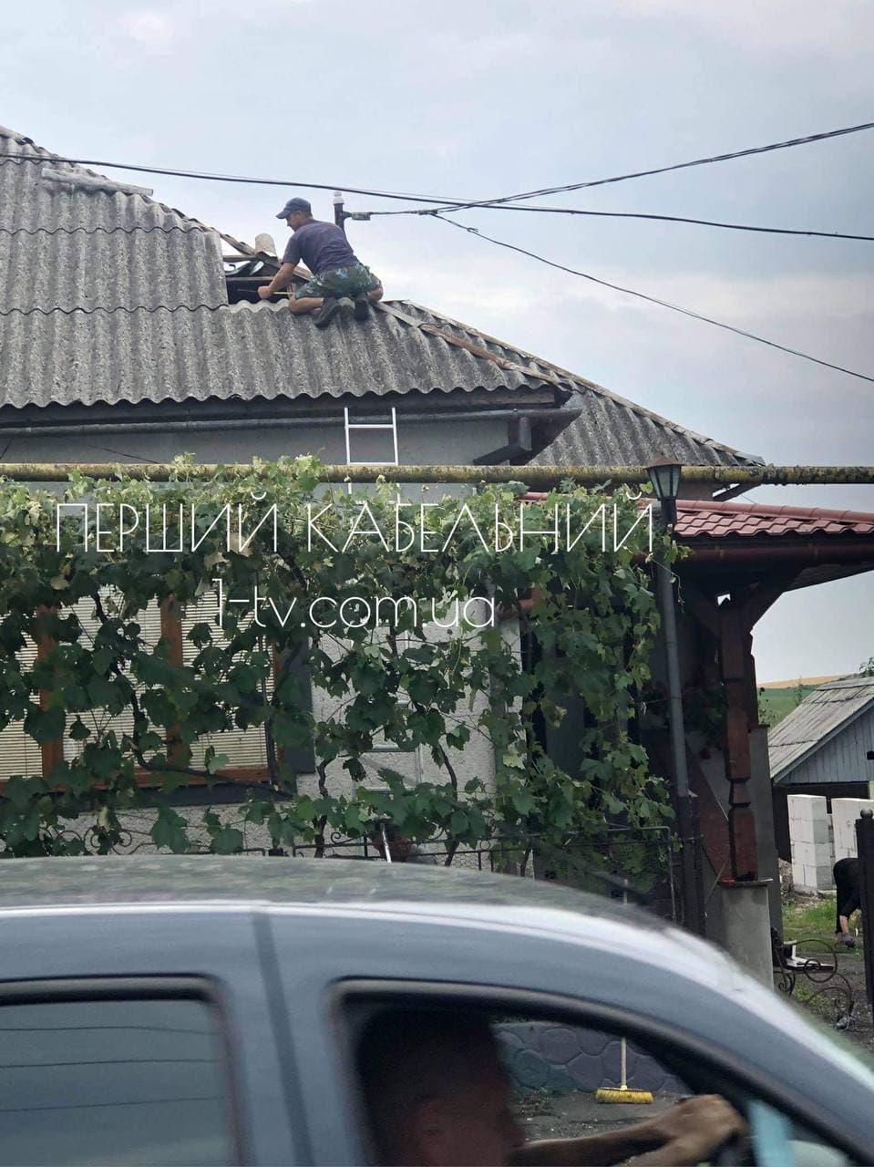 Зіпсовані гектари врожаю і зірвані дахи: наслідки вчорашнього буревію на Берегівщині