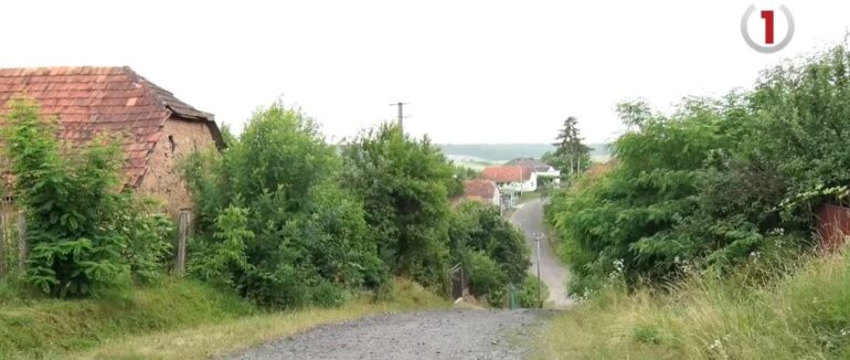 Тотальне бездоріжжя: у Воловиці на Берегівщині десятиліттями відсутнє асфальтне покриття (ФОТО, ВІДЕО)