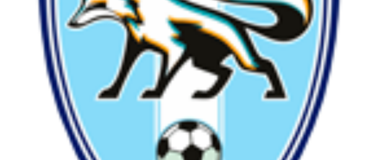 “Минай” зазнав поразки у виїзному матчі