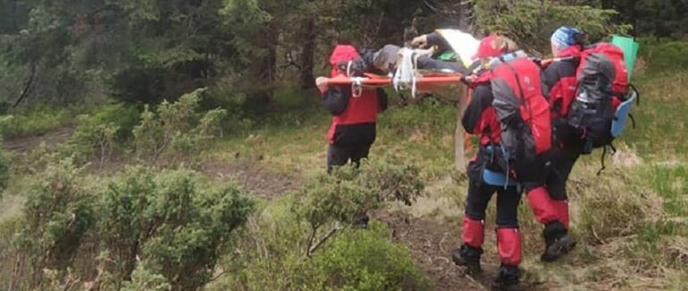 Закарпатця, який пішов по ягоди та не повернувся знайшли мертвим