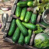 Витончений смак і пікантність: як готувати огірки на зиму з гірчицею і часником