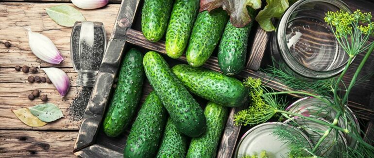 Витончений смак і пікантність: як готувати огірки на зиму з гірчицею і часником