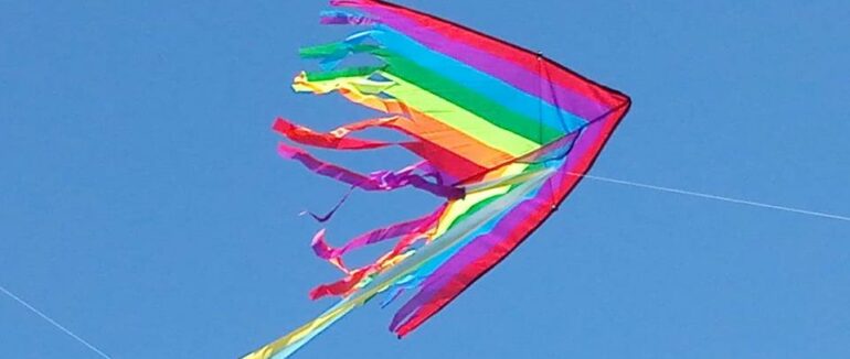 В Ужгороді відбувся фестиваль повітряних зміїв