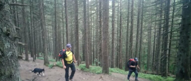 Відстав від групи та заблукав: у районі Говерли розшукують 6-річного хлопчика