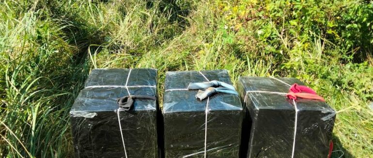Переміщення контрабанди на Закарпатті: прикордонники затримали пачкаря та виявили 8 ящиків сигарет