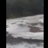 В Одеській області випав сніг