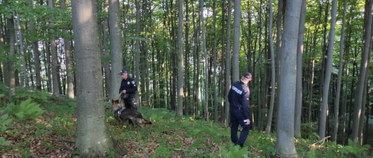 Втекли від батьків та зникли в лісі: на Ужгородщині розшукують малолітніх дітей