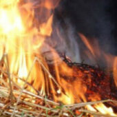 Пожежа на Хустщині: вогонь знищив п’ять тонн сіна