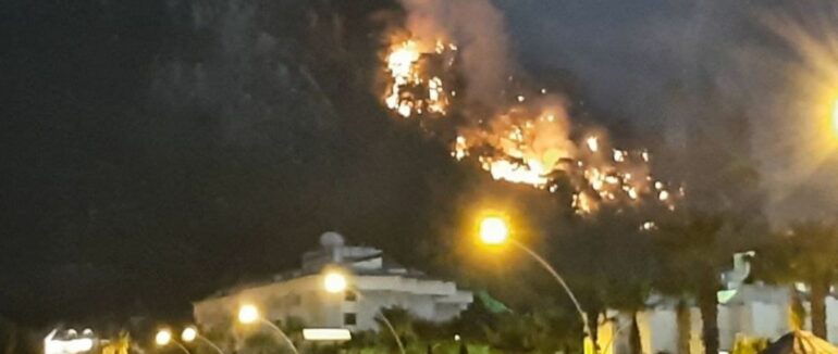 Вогонь, дим ще й землетрус: яка наразі ситуація в Туреччині, де вже п’ятий день вирують лісові пожежі