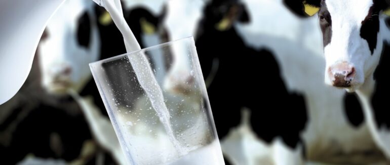 В Україні зростуть ціни на молочну продукцію