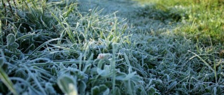 Народний синоптик повідомив українцям дату перших заморозків