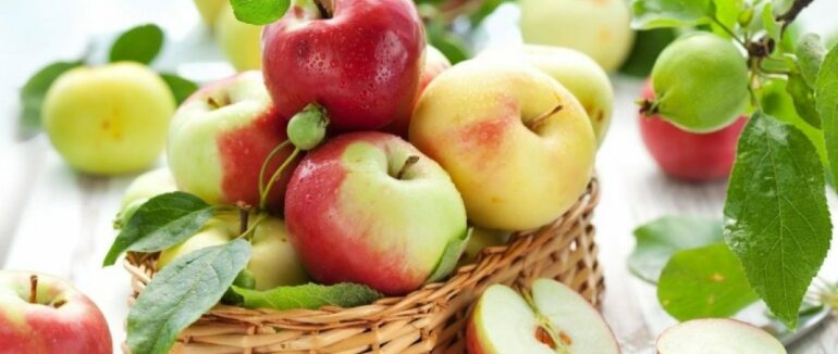 Яблучний Спас: традиції та прикмети святкування Преображення Господнього