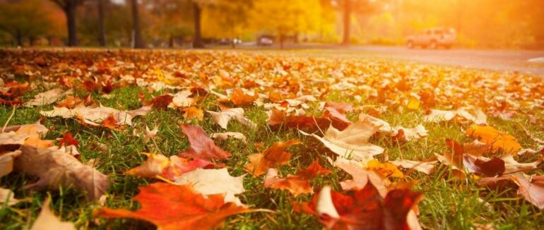 На Закарпатті прогнозують тепло