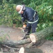 Негода на Мукачівщині: на трасу впало дерево