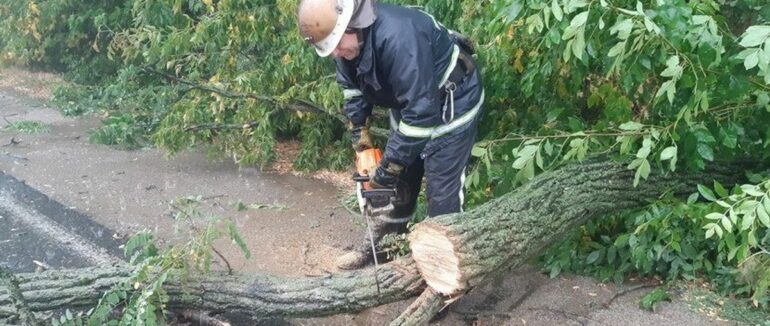 Негода на Мукачівщині: на трасу впало дерево
