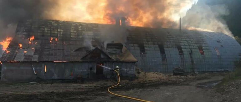 Масштабна пожежа на Закарпатті: горіло деревообробне підприємство