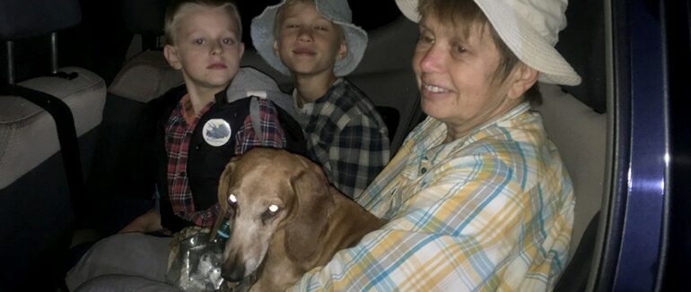 В Ужгородському районі жінка з двома людьми заблукала в лісових хащах