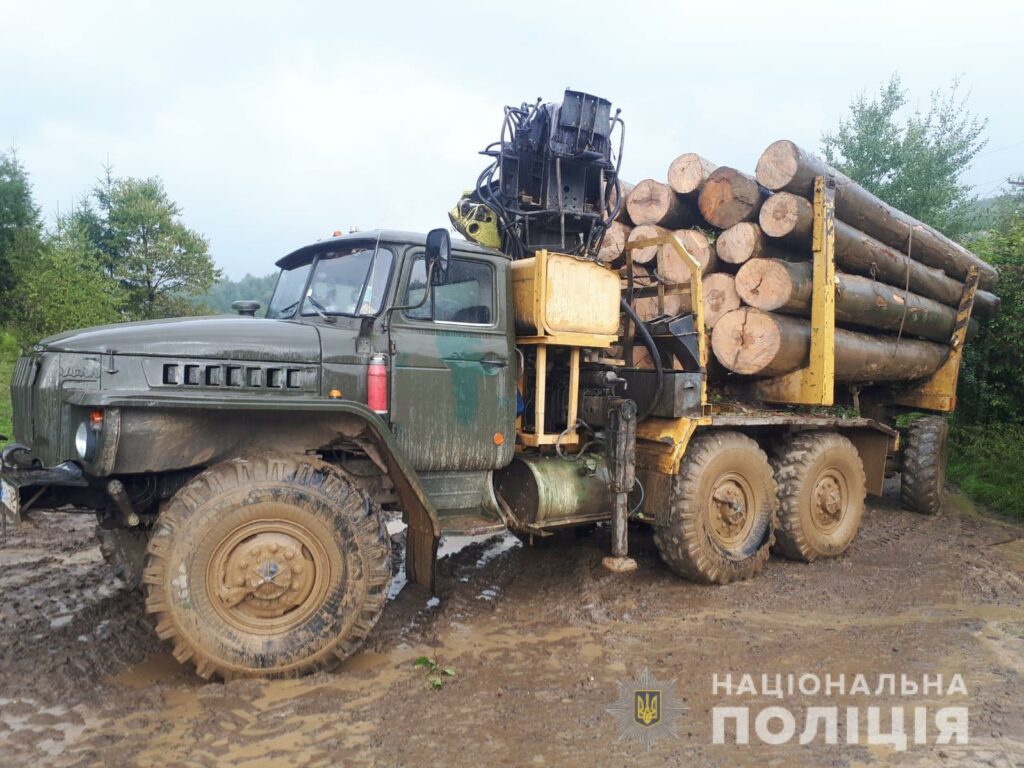 Свалява, село, довкілля, поліцейські, деревина, вантажівка, незаконно