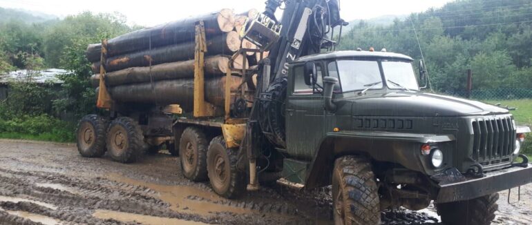Злочин проти довкілля: поблизу Сваляви затримали вантажівку наповненою незаконною деревиною