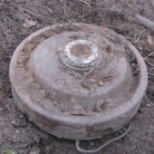 На Закарпатті піротехніки знищили двадцять дві мінометні міни часів Другої світової війни