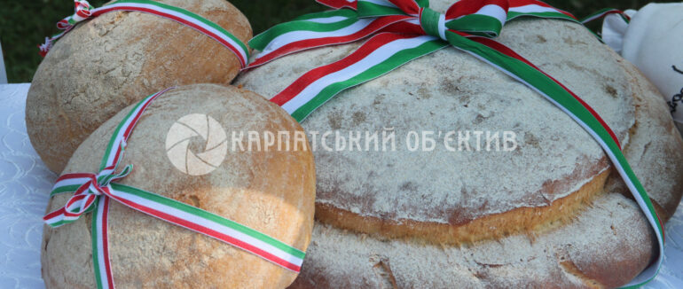 Свято “угорського хліба”: на Ужгородщині провели традиційну акцію