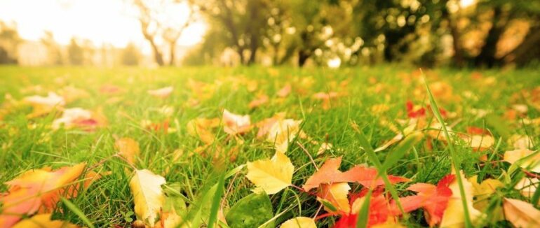 Гороскоп на 26 вересня для всіх знаків зодіаку: день, який підніме навіть найледачіших