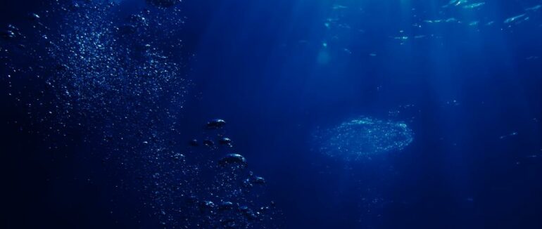 Акула “з мордою свині”: в Італії спіймана тварина шокувала очевидців