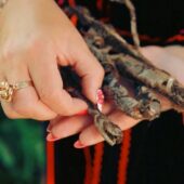 У Карпатах виявили невідому змію: її укус вбиває