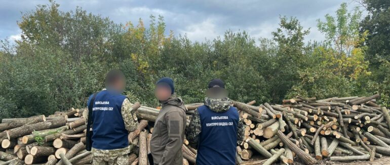 Масштабна незаконна вирубка дерев: у Мукачеві затримали групу закарпатців