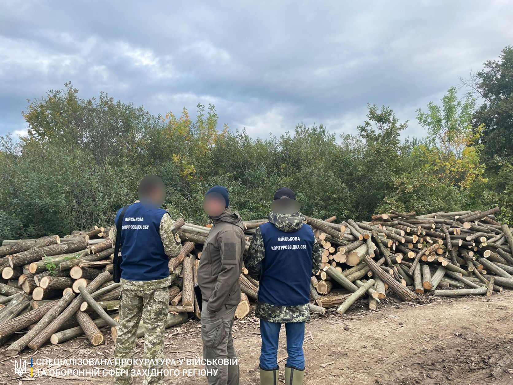 Масштабна незаконна вирубка дерев: у Мукачеві затримали групу закарпатців