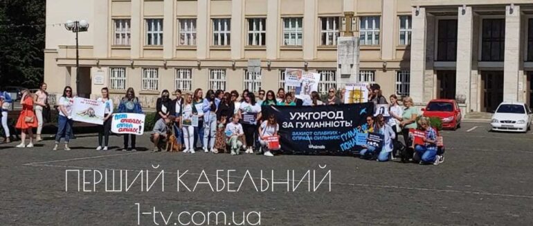 Ужгород за гуманність: в обласному центрі Закарпаття відбувся Всеукраїнський марш за тварин