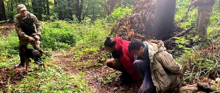 Закарпатські прикордонники затримали двох африканців, які намагались дістатися до ЄС незаконним шляхом