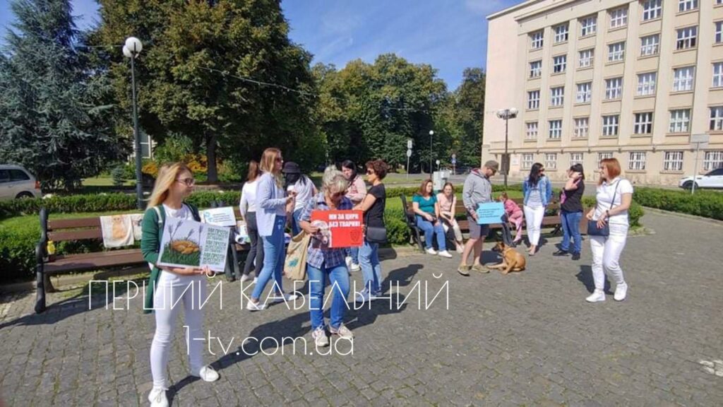 марш, тварини, протест, Ужгород, волонтери, підтримка