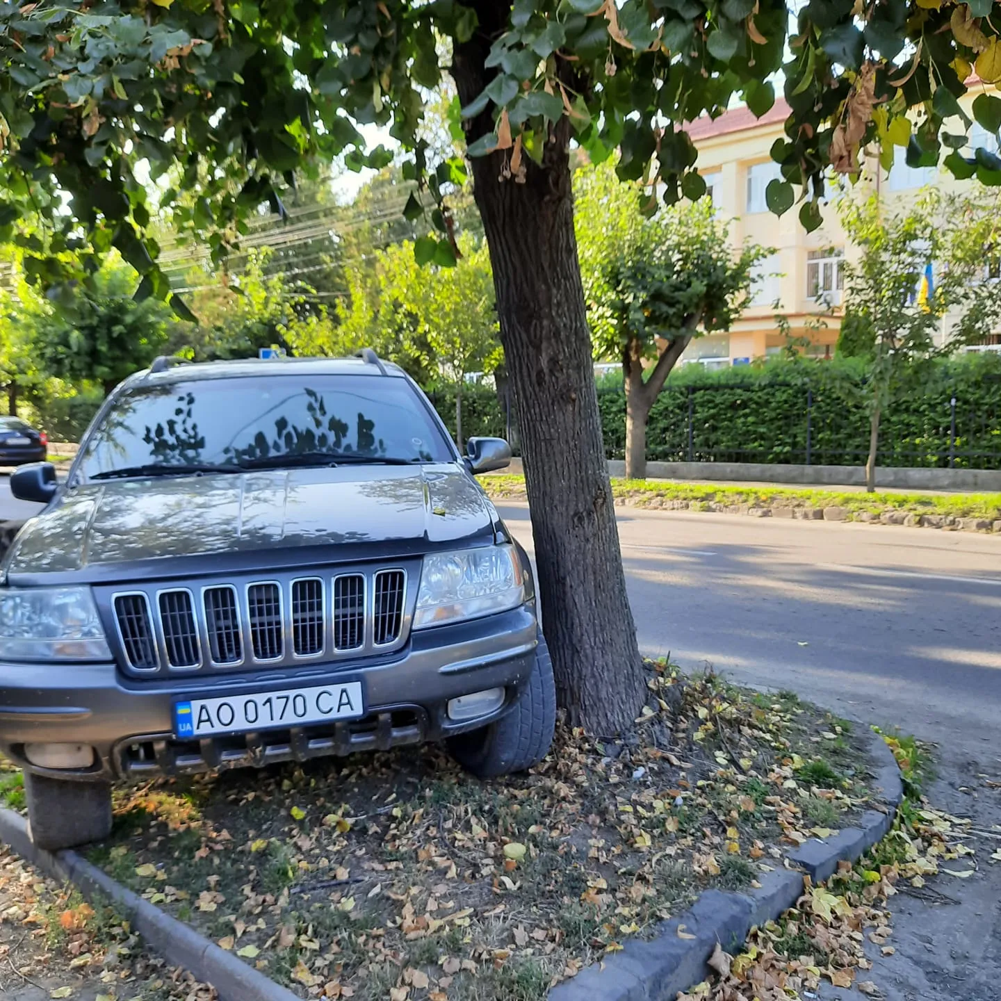 В Ужгороді невідомий припаркував Jeep прямо на газоні: люди обурюються