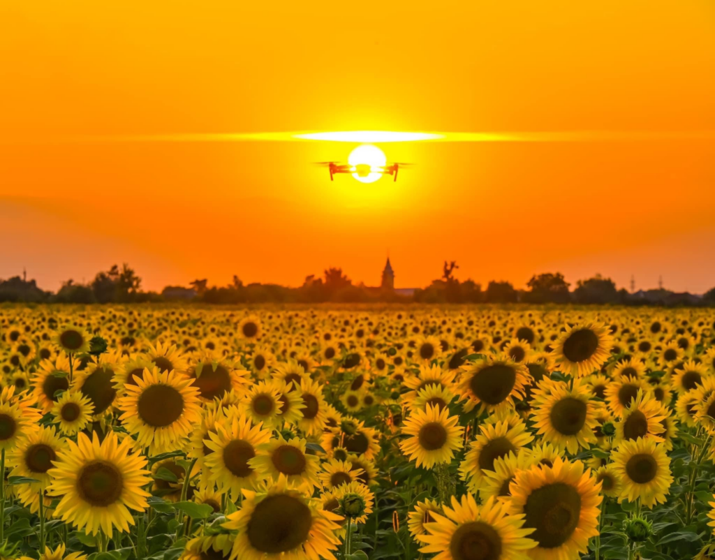 китаєць, Закарпаття, пейзажі, фотограф, дружина, Ужгород, гори