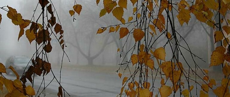 На Закарпатті прогнозують похолодання із дощами