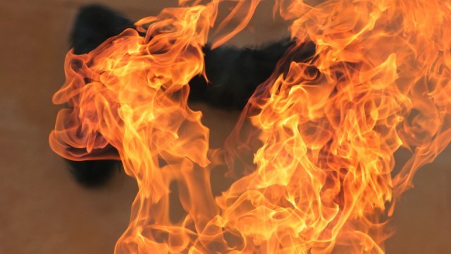 Смертельна пожежа на Рахівщині: у палаючому будинку виявили тіло власника