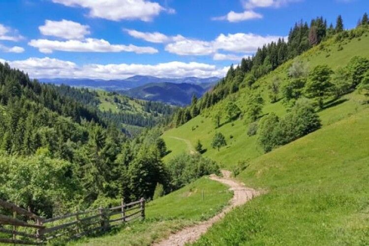 З початку року закарпатські надзвичайники врятували в горах 336 осіб