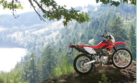 Цілу ніч блукав у лісі: на Рахівщині шукали мотоцикліста