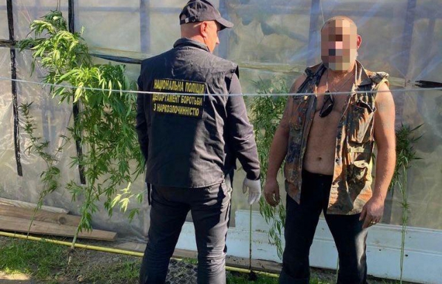 В ужгородця провели обшук: у чоловіка виявили понад пів кілограма марихуани